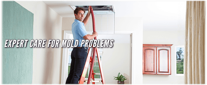 Air Duct Mold Removal in Bloomingdale IL