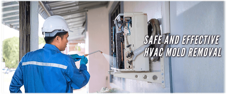 HVAC Mold Removal Bloomingdale IL